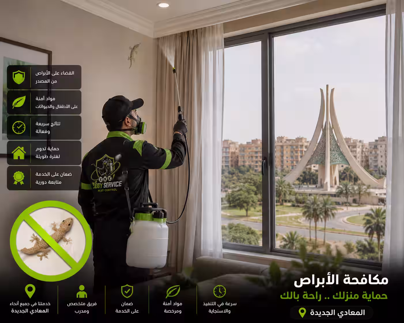 شركة مكافحة ابرص في المعادى الجديدة