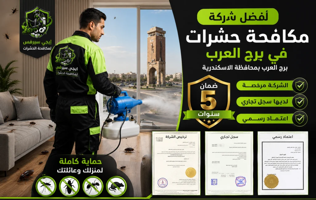 أفضل شركة مكافحة حشرات في برج العرب