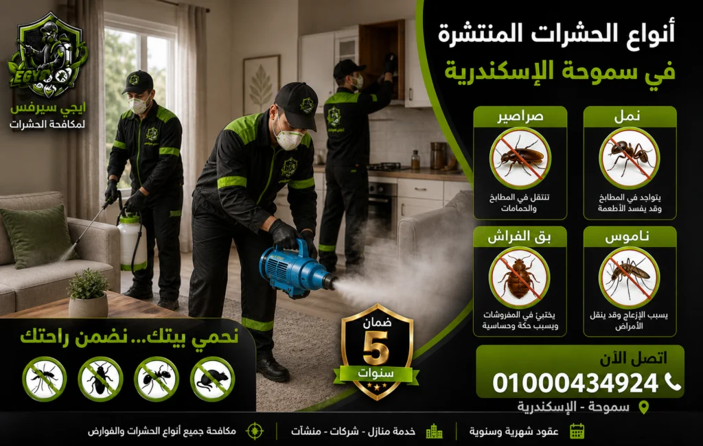 أنواع الحشرات المنتشرة في سموحة الإسكندرية