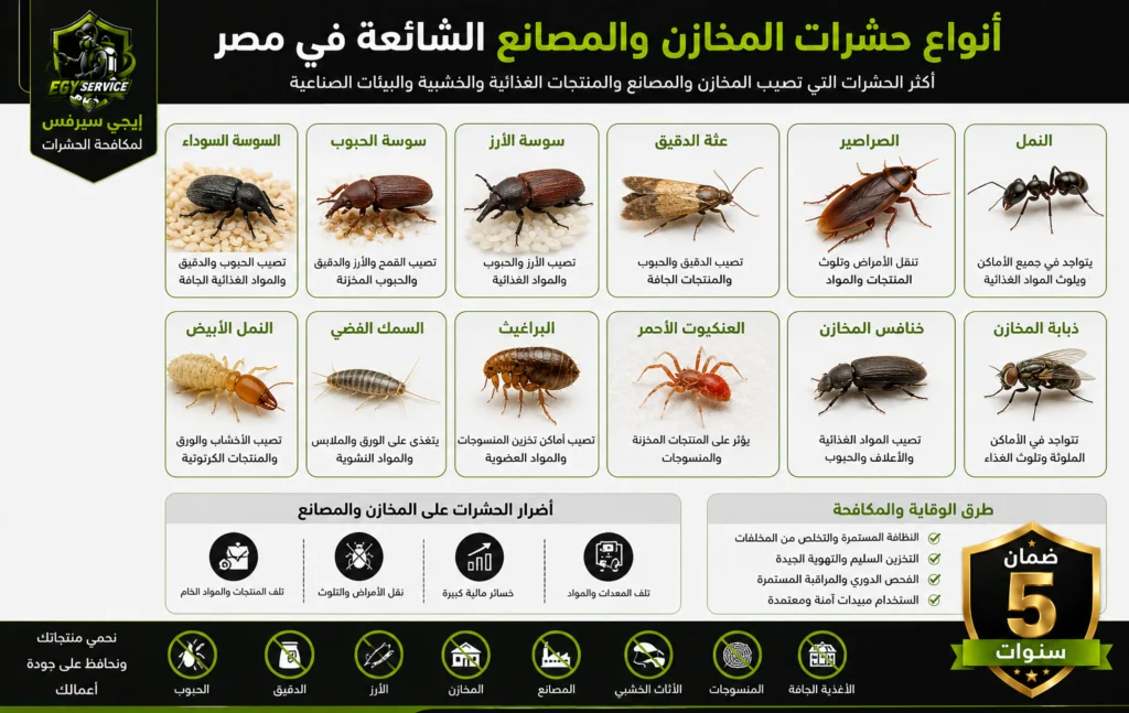 أنواع حشرات المخازن والمصانع الشائعة في مصر