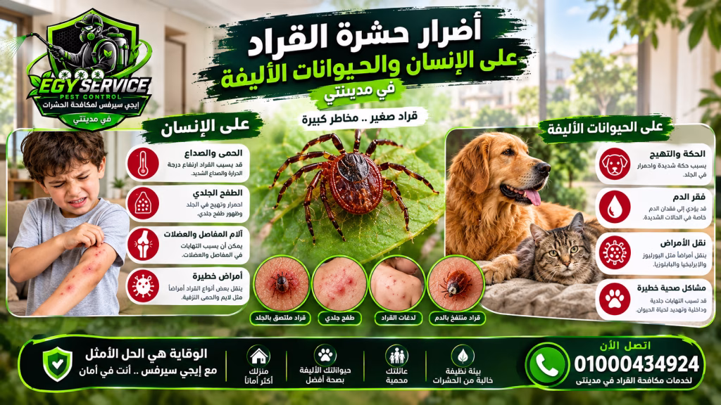 أضرار حشرة القراد على الإنسان والحيوانات الأليفة في مدينتي