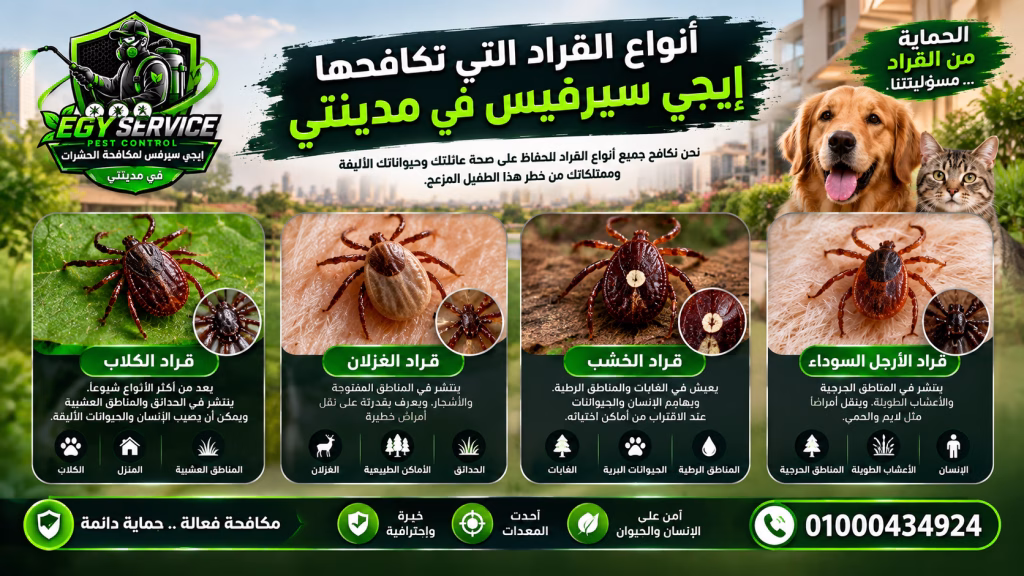 أنواع حشرة القراد المنتشرة في مدينتي والقاهرة الجديدة