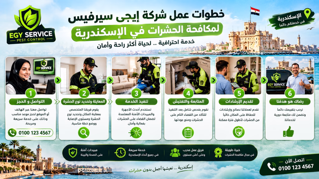 خطوات عمل شركة ايجى سيرفس لمكافحة الحشرات في الاسكندرية