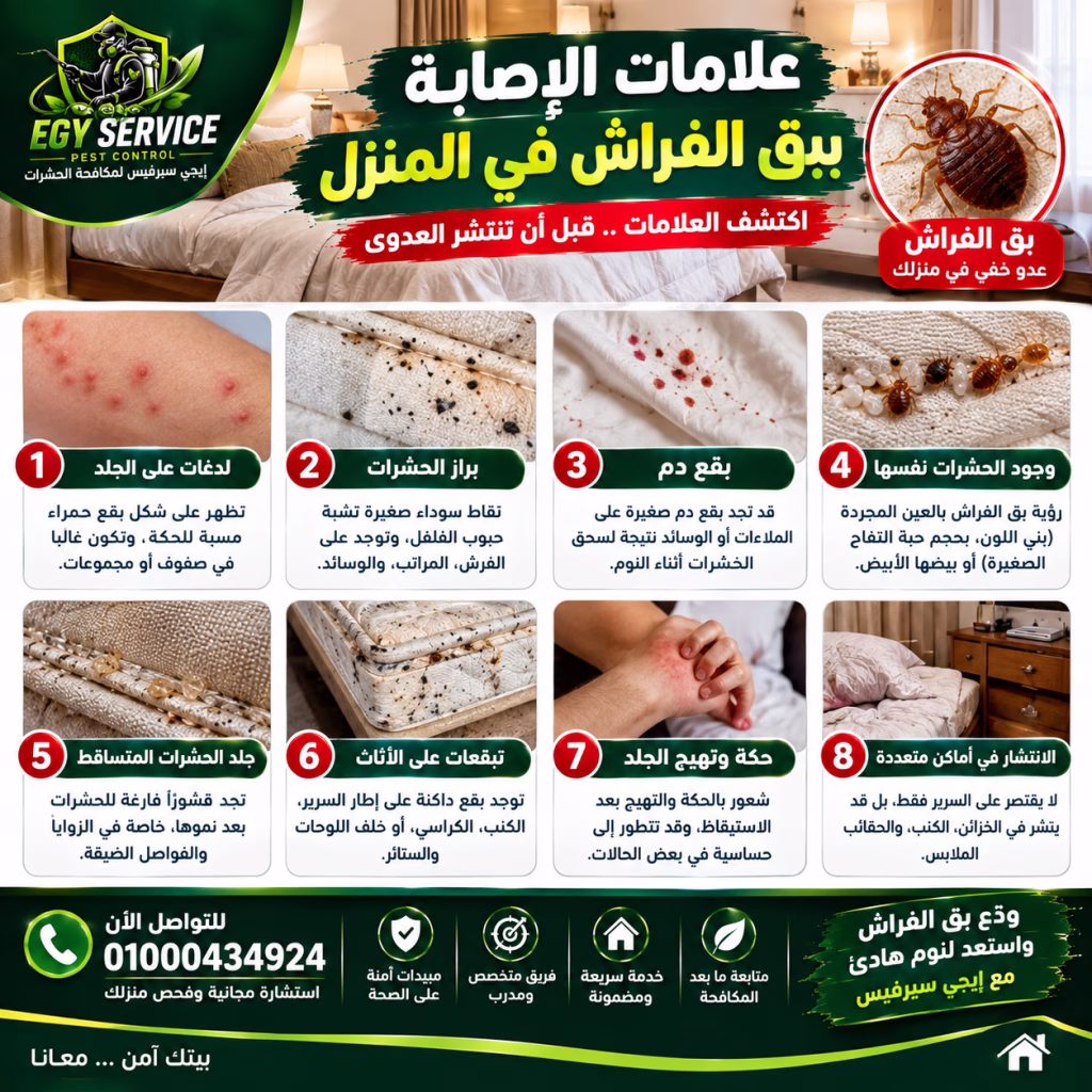 علامات الإصابة ببق الفراش في المنزل