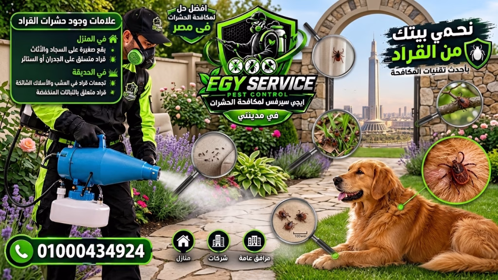 علامات وجود حشرة القراد في المنزل والحديقة في مدينتي