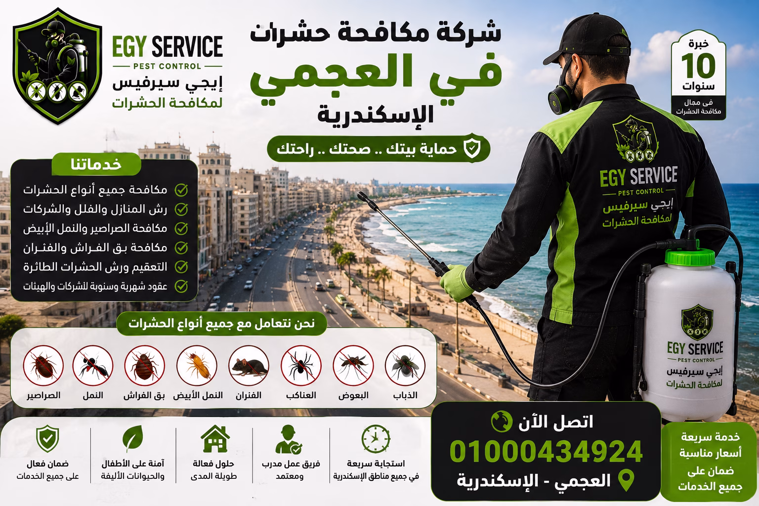 شركة مكافحة حشرات في العجمي