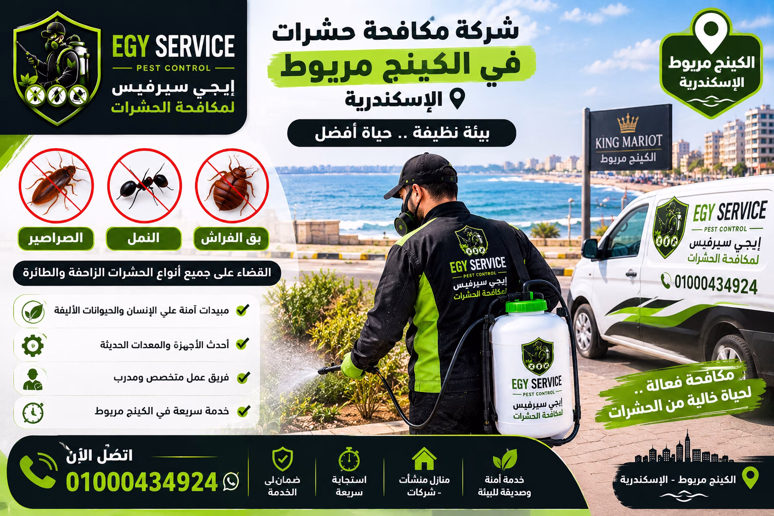 شركة مكافحة حشرات في الكينج مريوط