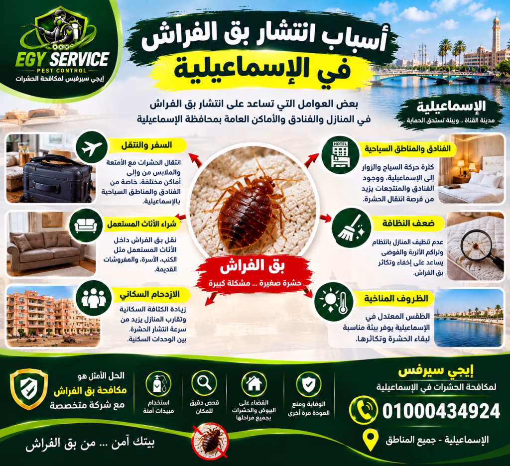 أسباب انتشار بق الفراش في الإسماعيلية