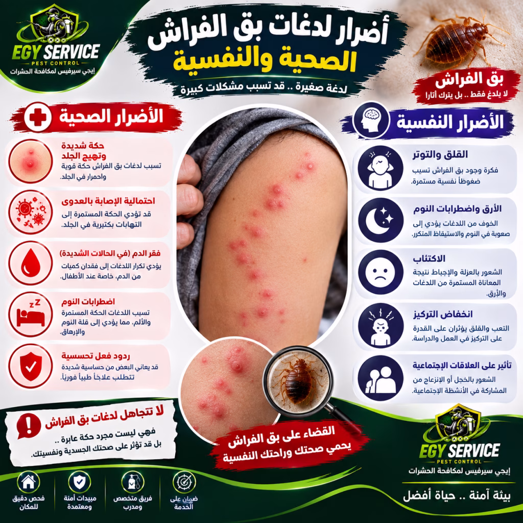 أضرار لدغات بق الفراش الصحية والنفسية