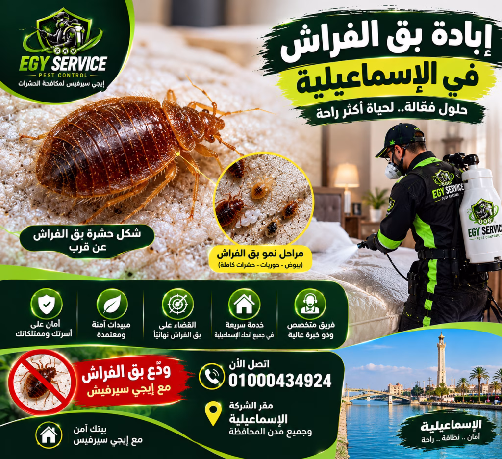 حشرة بق الفراش – التعرف على شكلها وحجمها